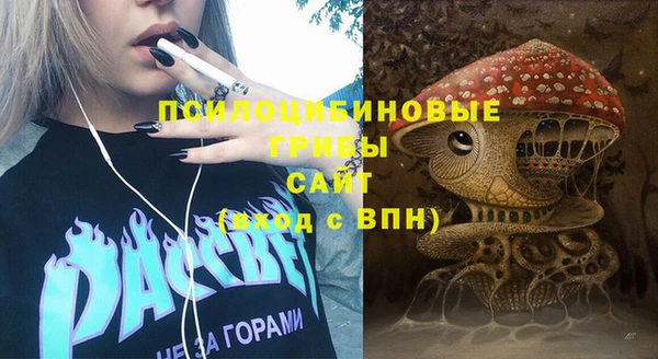 СК Вязники