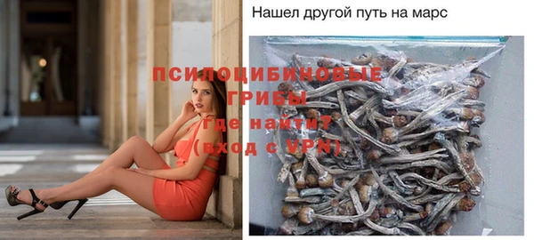 бошки Володарск