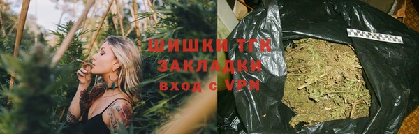 стаф Волоколамск
